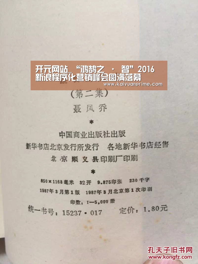 开元网站_“鸿鹄之 · 智”2016新浪程序化营销峰会圆满落幕(图3) 开元热点